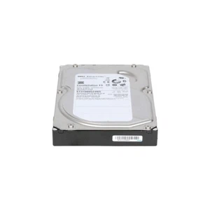 Dell Constellation ES 1Tb 3,5" disco rigido desktop Sata - ST31000524NS - Foto 1 di 4