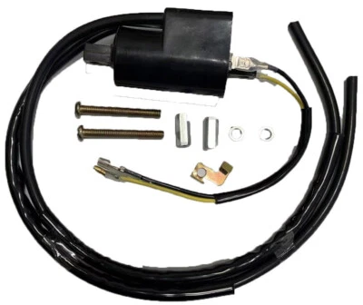 Bobina de encendido compatible con Ski-Doo MXZ 500 583 670 1998-1999 Rep. 415085400 Foto 1 de 2