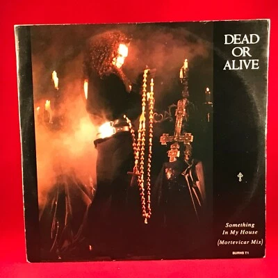 DEAD OR ALIVE Something In My House 1986 UK 12" Vinyl Single Epic record A - Image 1 of 3
