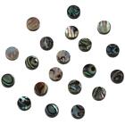 20 Pcs Round Natural Abalone Shell Coin Beads Loose Beads Charm  For Bracelet