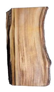 FIGURED MYRTLEWOOD BLANK TURNING CRAFTING WOODWORKING APPROX 16x9.5x2 IN - Picture 1 of 3