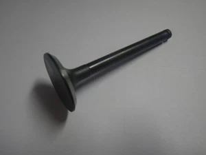 Club Car DS Predent 1992-Up FE290 Engine Intake Valve Replacement | 1016447 - Picture 1 of 3