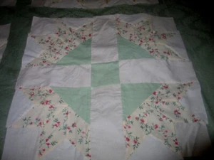 20 BLOQUES DE PEONÍA VINTAGE HECHOS A MANO Redwood Floral Baquelita Verde Muselina COMO NUEVO  - Imagen 1 de 5