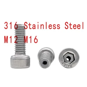 316 SS M12 M16 Hex Socket hollow Cap Head perforated exhaust screw mask machine - Picture 1 of 5