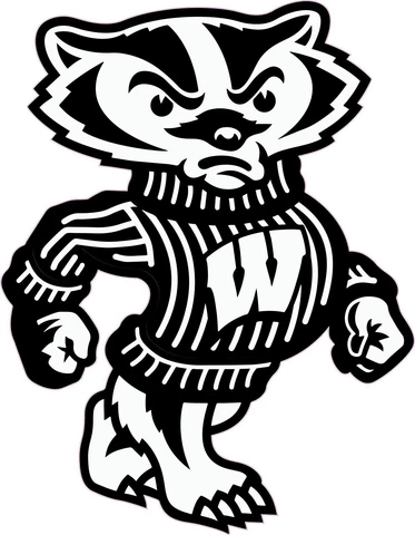 WISCONSIN BUCKY BADGER BLACK AND WHITE Full Size FOOTBALL HELMET DECALS Cover
