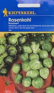 COLES DE ROSA - Roodnerf otoño e invierno temprano plantas repollo verduras semillas - Imagen 1 de 4