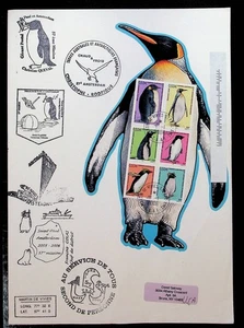 French Southern & Antarctic Territory Sc 372 - 2006 COVER W/EXPEDITION CANCELS  - Picture 1 of 1