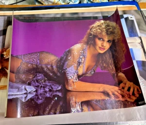 #120 Vintage 1985 Poster 28x20 Sexy Heidi Bohay Man Cave Pin Up CIC - Picture 1 of 7