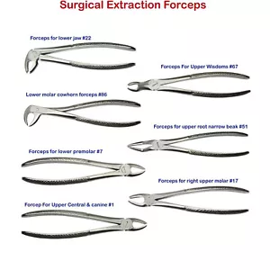 Surgical Dental Extraction Forceps Tooth Extracting Lower Upper Root anterior CE - Picture 1 of 19