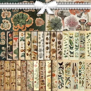 Vintage wissenschaftliches Wandbild-Set, 30 große, Insekten-Pilze-Pflanzen  - Bild 1 von 6
