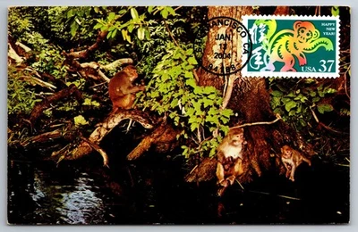 3832 Chinese Lunar New Year, Year of the Monkey FDC Maxi Card - Image 1 of 2