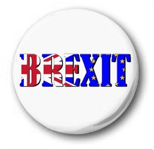 BREXIT - 25mm 1" Button Badge - Novelty Cute EU Referendum Vote Leave Europe - Picture 1 of 1