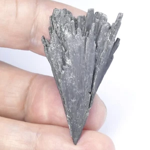 Schwarzer Disthen Fächer Kristall ca. 41 x 23 x 9mm Minas Gerais Brasilien 15 - Bild 1 von 7