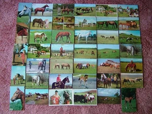 40 Used & Unused Postcards Featuring HORSES. Standard size. - Picture 1 of 1