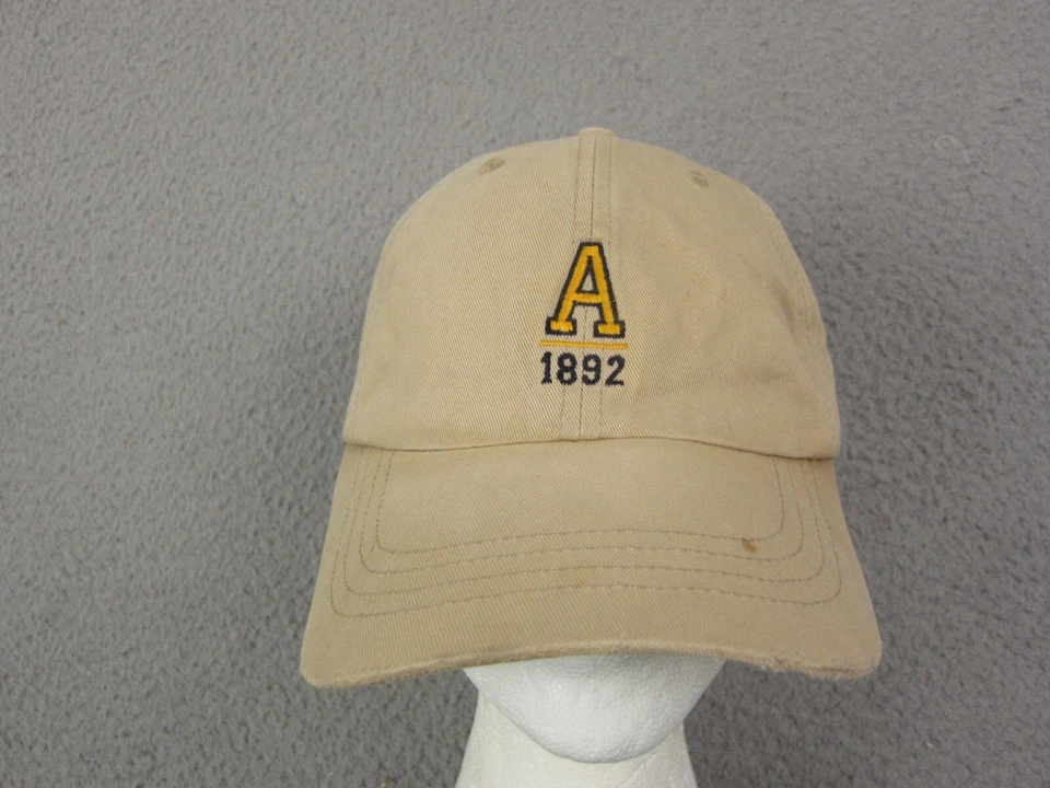 复古 Abercrombie & Fitch 帽子棕色男式均码绑带标志爸爸帽子 — 第 1/4 张图片