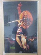 Vintage Poster  Ian Anderson Jethro Tull English rock band 1975 Inv#829