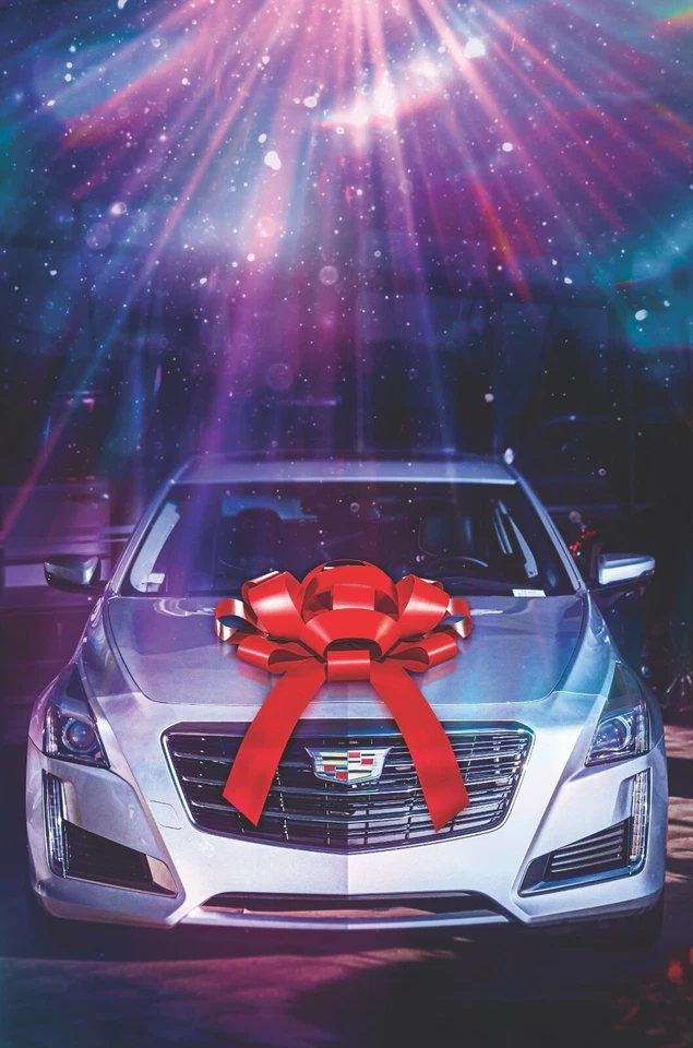 Arco de Coche Grande CarBowz para Decoraciones de Coche de Navidad y Regalos de Coche de Cumpleaños  Foto 1 de 4