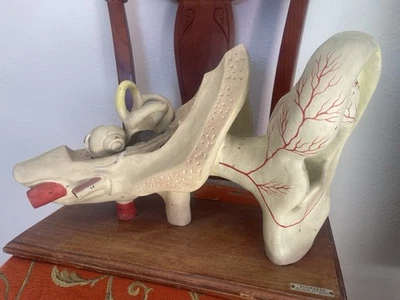 SOGERESA MATERIAL ANATOMICO PEDAGOGICO OIDO - Immagine 1 di 4