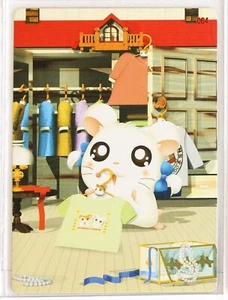 Hamtaro TCG Tarot Card No.064 AMADA Carddass Hamster Japanese Anime Character - Picture 1 of 4