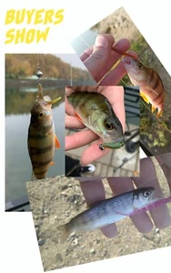5cm/35 Stück Angelköder Soft Kunstköder Raubfisch Super Fischköder Pesca Bait - Bild 1 von 30