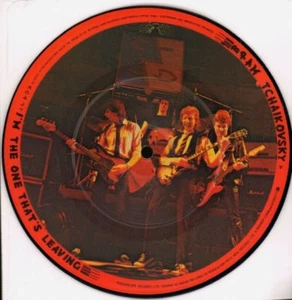 Bram Tchaikovsky(7" Vinyl Picture Disc)I'm The One That's Leaving-Radar-Ex/Ex+ - Imagen 1 de 2