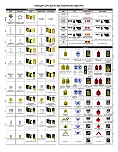 ARMED FORCES RATE AND RANK POSTER POSTER 24 X 36 Inches Looks Awesome! - Picture 1 of 2