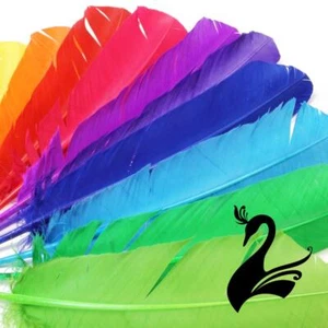 Feather Turkey Full Quill (Pack of 3) - Craft Millinery Fly Fishing - Bild 1 von 35