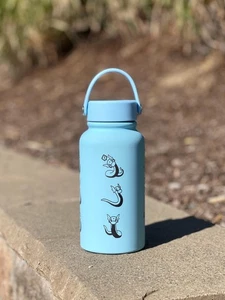 Dratini Dragonair Water Bottle, Laser Engraved Coffee Tumbler with Sleeping Drat - Picture 1 of 10
