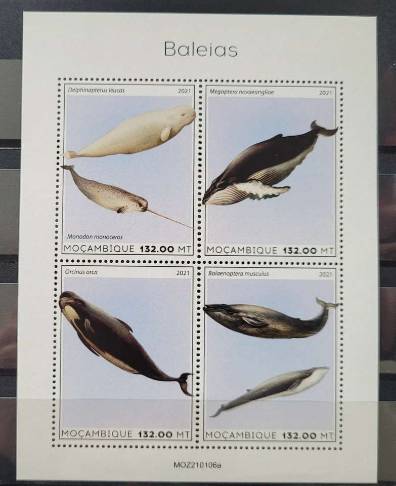 Mozambique 2021 / Marine Life - Whales  / 4v ms - Image 1 of 1