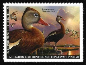 RW87 DIE CUT SINGLES Federal Duck Stamp of 2020 - OGNH -VF & Better (ESP Stock) - Picture 1 of 1