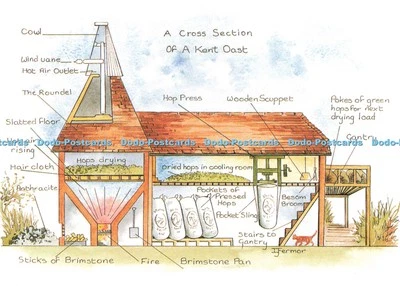 D242885 A Cross Section of a Kent Oast Judges of Hastings C 30364 X Ida Fermor - Image 1 of 4