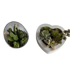 2 Faux Succulent Planters Glass Terrarium & Plastic Heart New - Picture 1 of 9