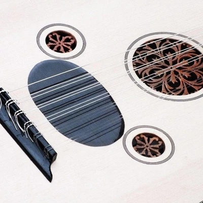 Juego de cuerdas Oud de alta calidad ligeras duraderas excelente sonido para Oud Lo RJTX Foto 1 de 4