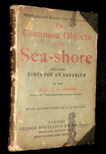 The Common Objects of the Sea Shore (c1894) J G Wood, Nature, Aquarium, Seashore