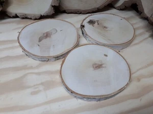 3 Birke trockene Holzscheibe Baumscheibe Deko Hochzeit 21-25 cm Rindenbrett Holz - Bild 1 von 11