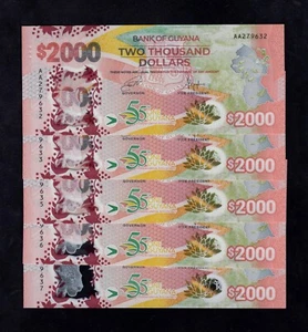 F.C. GUYANA , LOTE 5 UNIDADES 2000 $ 2022 , S/C ( UNC ) , P.42 . - Imagen 1 de 2