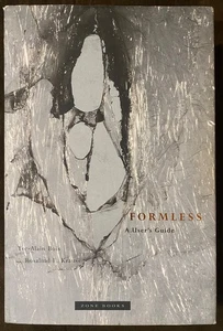 FORMLESS: A USER’S GUIDE by Yve-Alain Bois & Rosalind Krauss - 1999 HC/DJ - EX+ - Picture 1 of 13