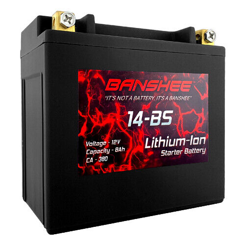Lithium LiFePO4 Battery Replaces YTX14-BS for Honda VTX 1300 S 12V Motorcycle