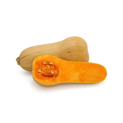 Calabaza Waltham Butternut Jardín Reliquia Vegetal por Seed Kingdom Semillas de 1 lb Foto 1 de 1