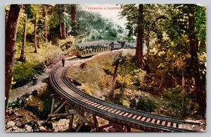 1910s Mill Valley CA Muir Woods Railway Train, Mt Tamalpais RR Unposted Postcard - Picture 1 of 3