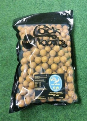 Cockbaits Cockita 2.0 Bananen Boilies 24mm (NEU!) 2 kg Einheiten Gebinde Karpfen - Bild 1 von 4