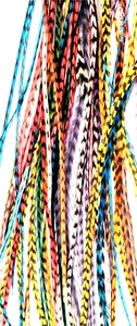 25 Feather Hair Extensions Whiting Grizzly Rooster Saddle Hackle 8-12" Feathers - Picture 1 of 4