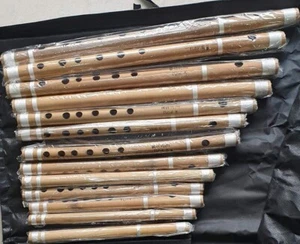 Flauto professionale 13 pz Bansuri Set flauti indiani bambù con borsa - Foto 1 di 6