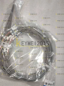 1PCS NEW Omron Temperature Sensor E52-CA15AY 2M - Picture 1 of 1