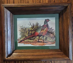 Homco Framed Ruffled Pheasant Beautiful Print Wall Picture Wood Frame New w/Box - Picture 1 of 5