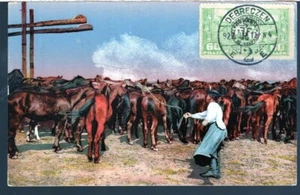 1911 Debreczen, Hungary Postmark Tied To 3N15 Newspaper Stamp. Postcard. Horses - Picture 1 of 2