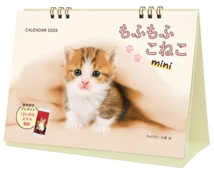 Purchaser-only bonus included Calendar 2026 Fluffy Kitten mini monthly/desk 679 - Picture 1 of 1