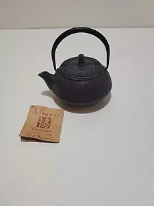 Japanese TetSubin Style Cast Iron Teapot Unity Black Porcelain Finish Interior - Picture 1 of 5