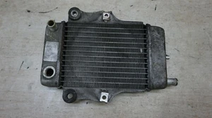 HONDA DYLAN 125 SES125 radiador de refrigeración/agua 19010-KPZA-9010-M1 - Imagen 1 de 7