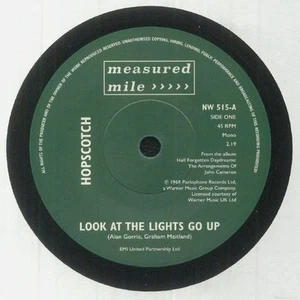 HOPSCOTCH/ANDWELLA - Look At The Lights Go Up - Vinyl (limited 7") - Picture 1 of 1